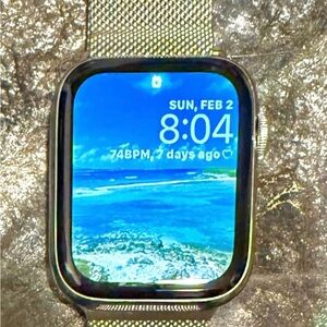 Stainless steel Apple Watch Series 6 (44mm) with Silver Mesh Band